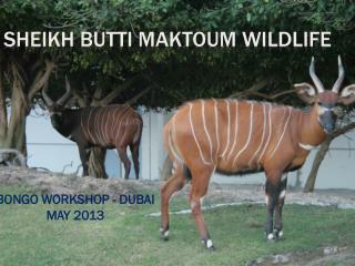 SHEIKH BUTTI MAKTOUM WILDLIFE