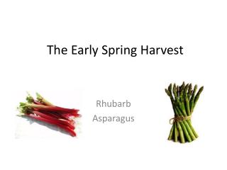 The Early Spring Harvest