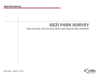 GEZİ PARK SURVEY Who are they, why are they there and what do they demand?