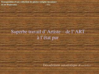 Superbe travail d’ Artiste – de l’ ART à l’état pur