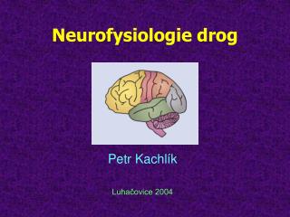 Neurofysiologie drog