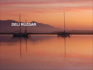 DELİ RÜZGAR