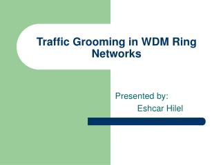 Traffic Grooming in WDM Ring Networks