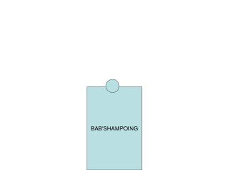 BAB'SHAMPOING