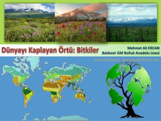 Dünyayı Kaplayan Örtü: Bitkiler