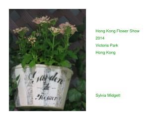 Hong Kong Flower Show 2014 Victoria Park Hong Kong Sylvia Midgett