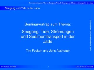 Seegang und Tide in der Jade