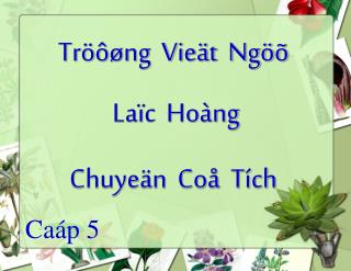 Tröôøng Vieät Ngöõ Laïc Hoàng Chuyeän Coå Tích