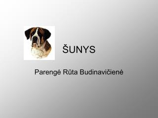 ŠUNYS