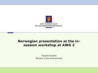 Norwegian presentation at the in-session workshop at AWG 2