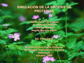 SIMULACIÓN DE LA SÍNTESIS DE PROTEÍNAS Jenifer Tovar Domínguez Luz Adriana Peñate