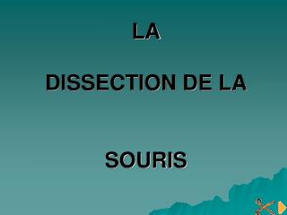LA DISSECTION DE LA SOURIS