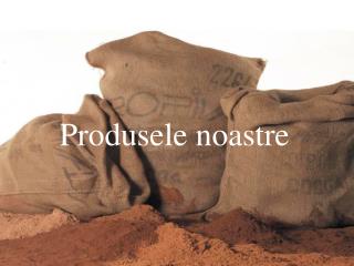 Produsele noastre