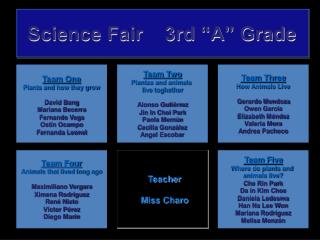 Science Fair 3rd “A” Grade