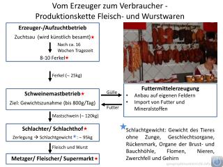 Vom Erzeuger zum Verbraucher - Produktionskette Fleisch- und Wurstwaren