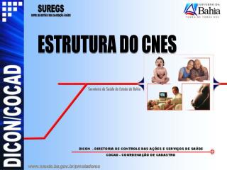 ESTRUTURA DO CNES