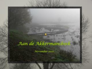Aan de Akkermansbeek