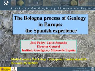 The Bologna process of Geology in Europe: the Spanish experience