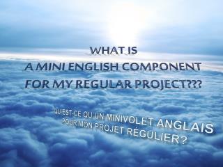 Qu’est-ce qu’un minivolet anglais pour mon projet régulier?
