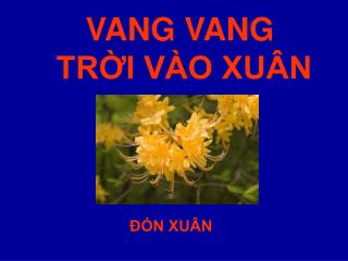 VANG VANG TRỜI VÀO XUÂN