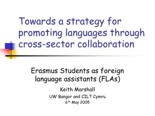 Towards a strategy for promoting languages through cross-sector collaboration