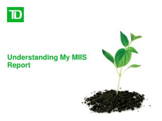 Understanding My MIIS Report
