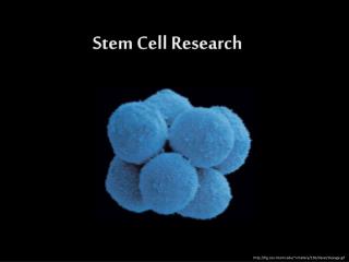 Stem Cell Research