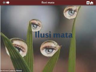 Ilusi mata