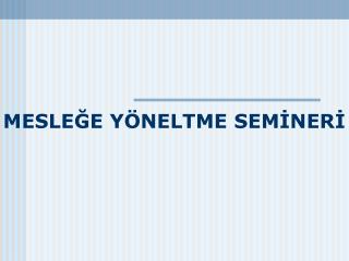 MESLEĞE YÖNELTME SEMİNERİ