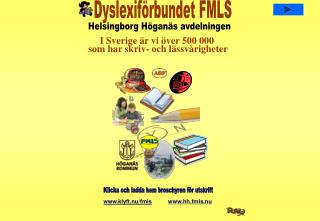 Dyslexiförbundet FMLS