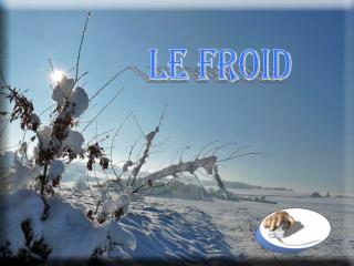 LE FROID
