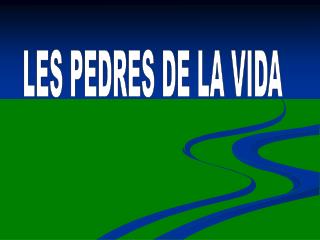 LES PEDRES DE LA VIDA