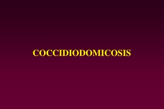 COCCIDIODOMICOSIS