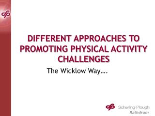 DIFFERENT APPROACHES TO PROMOTING PHYSICAL ACTIVITY CHALLENGES