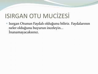 ISIRGAN OTU MUCİZESİ