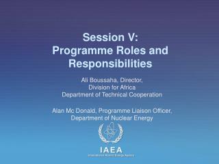 Session V: Programme Roles and Responsibilities