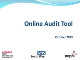 Online Audit Tool October 2013