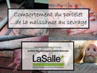 Comportement du porcelet …de la naissance au sevrage