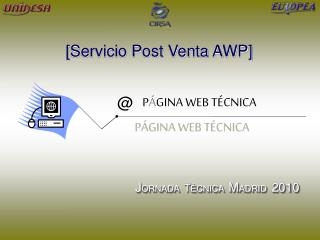 P Á GINA WEB TÉCNICA