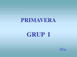 PRIMAVERA GRUP I