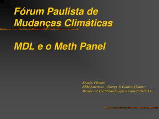 Fórum Paulista de Mudanças Climáticas MDL e o Meth Panel