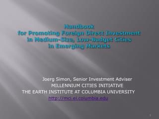 Joerg Simon, Senior Investment Adviser MILLENNIUM CITIES INITIATIVE
