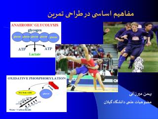 مفاهیم اساسی در طراحی تمرین