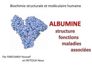 ALBUMINE structure fonctions maladies associées