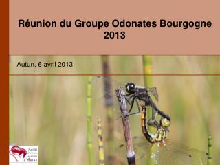 Réunion du Groupe Odonates Bourgogne 2013