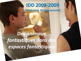 IDD 2008-2009 (Itinéraires De Découverte)