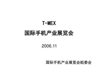 T-MEX 国际手机产业展览会