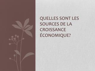 Quelles sont les sources de la croissance économique?