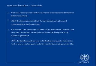 International Standards – The UN Role