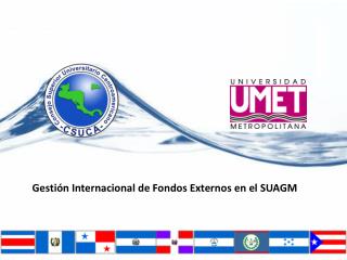 Gestión Internacional de Fondos Externos en el SUAGM